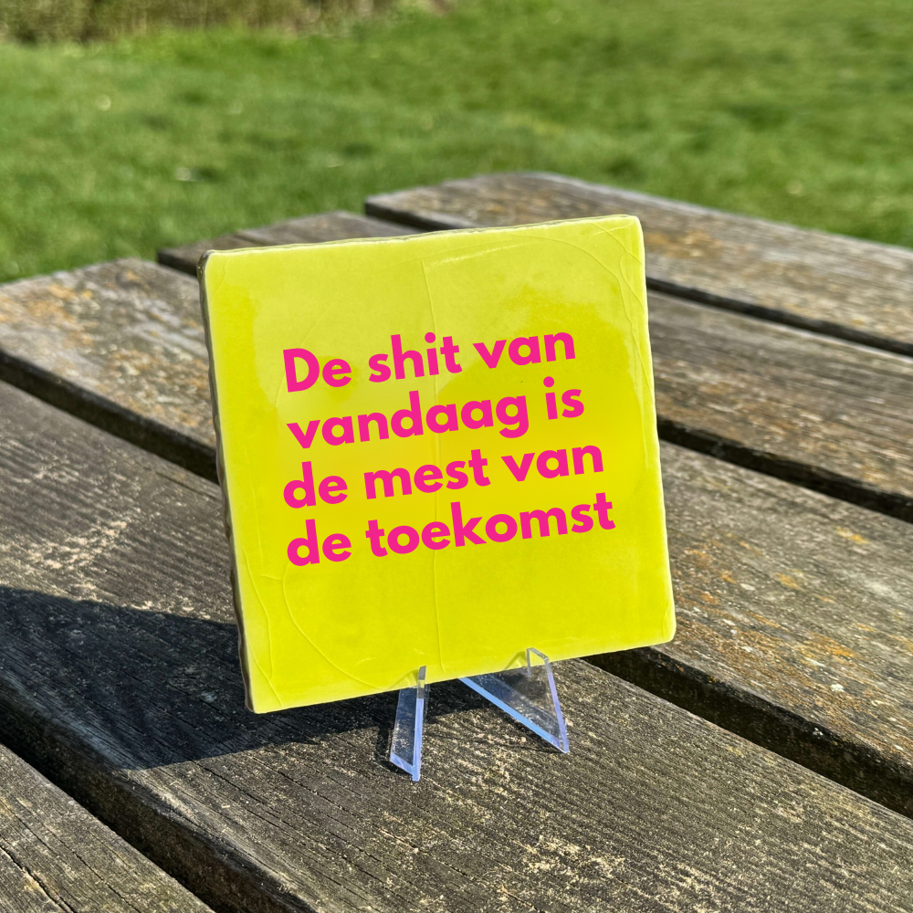 De shit van vandaag