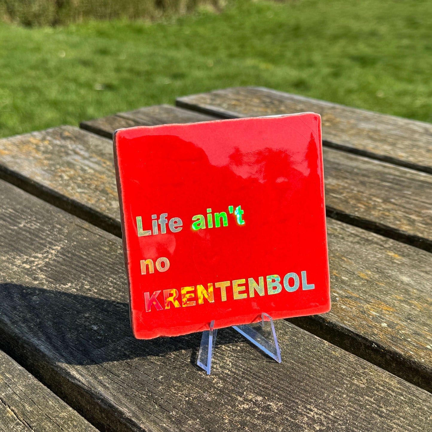 Life ain't no krentenbol